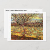 Abrikozenbomen in Blossom door Van Gogh Briefkaart (Voorkant / Achterkant)