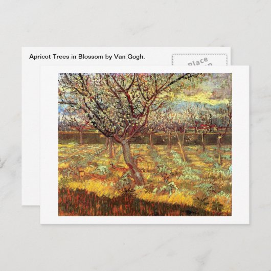 Abrikozenbomen in Blossom door Van Gogh Briefkaart (Voorkant / Achterkant)
