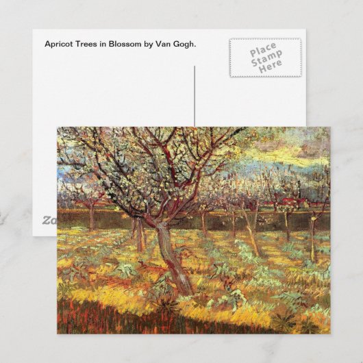Abrikozenbomen in Blossom door Van Gogh Briefkaart (Voorkant / Achterkant)