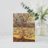 Abrikozenbomen in Blossom door Vincent van Gogh Briefkaart (Staand voorkant)