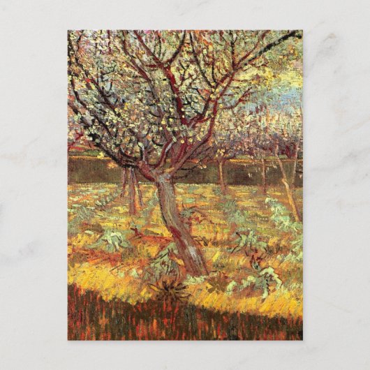 Abrikozenbomen in Blossom door Vincent van Gogh Briefkaart (Voorkant)