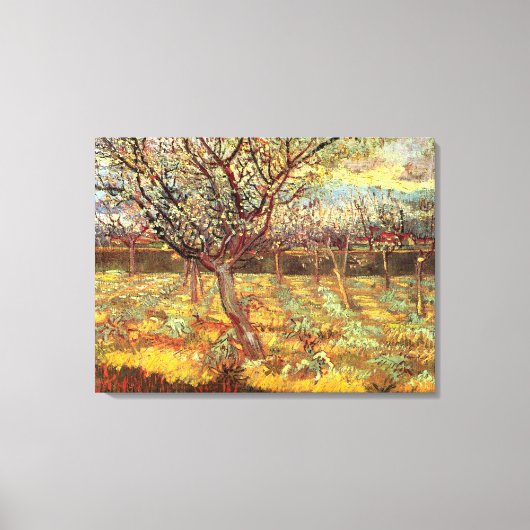 Abrikozenbomen in Blossom door Vincent van Gogh Canvas Afdruk (Voorkant)