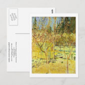 Abrikozenbomen in Blossom, Van Gogh Fine Art Briefkaart (Voorkant / Achterkant)