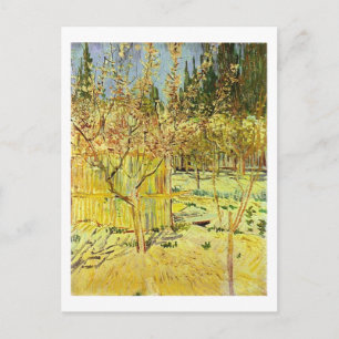 Abrikozenbomen in Blossom, Van Gogh Fine Art Briefkaart