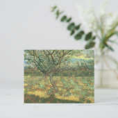 Abrikozenbomen in Blossom, Vincent van Gogh Briefkaart (Staand voorkant)