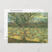 Abrikozenbomen in Blossom, Vincent van Gogh Briefkaart (Voorkant / Achterkant)