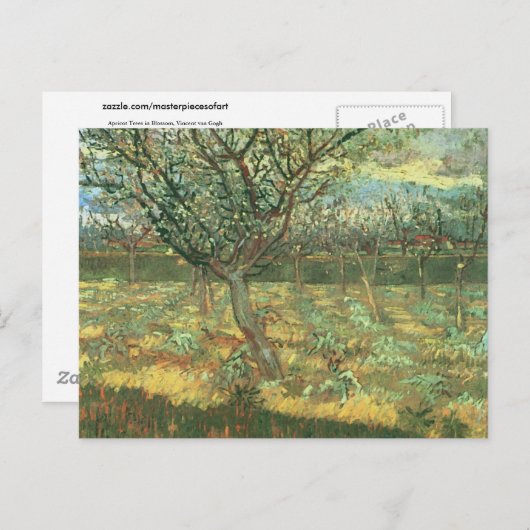 Abrikozenbomen in Blossom, Vincent van Gogh Briefkaart (Voorkant / Achterkant)