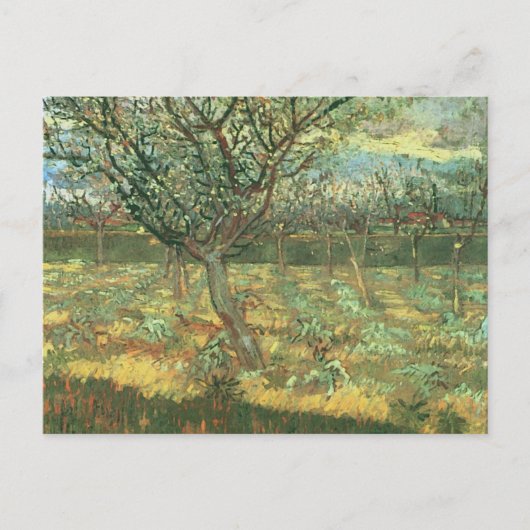 Abrikozenbomen in Blossom, Vincent van Gogh Briefkaart (Voorkant)
