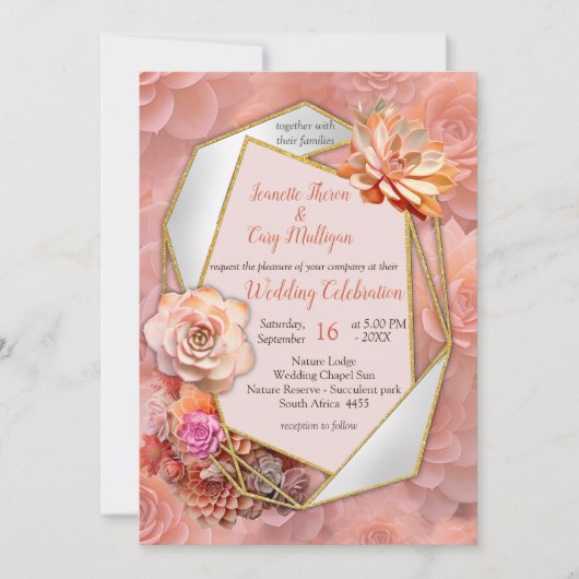 Abrikozencrush kleur 2024 met vetplanten kaart (Voorkant)