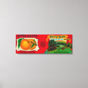 Abrikozenetiket Canvas Afdruk