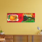 Abrikozenetiket Canvas Afdruk (Insitu (Woonkamer))