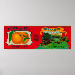 Abrikozenetiket Poster