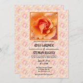 Abrikozenpeach Roos Flower Blossom Weddenschap Kaart (Voorkant / Achterkant)