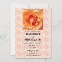 Abrikozenpeach Roos Flower Blossom Weddenschap