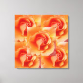 Abrikozenperzik Roos Flower Close-up Foto Canvas Afdruk (Voorkant)