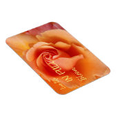 Abrikozenperzik Roos Flower Close-up Foto Magneet (Rechterzijde)