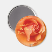 Abrikozenperzik Roos Flower Close-up Foto Magneet (Voorkant / Achterkant)