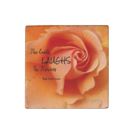 Abrikozenperzik Roos Flower Close-up Foto Stenen Magneet