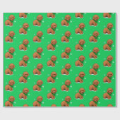 Abrikozenpitje in een kerstboei cadeaupapier (Vlak)