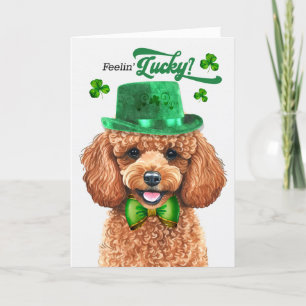Abrikozenpoedel Hond Gevoel 'Lucky St Patrick's Da Feestdagen Kaart