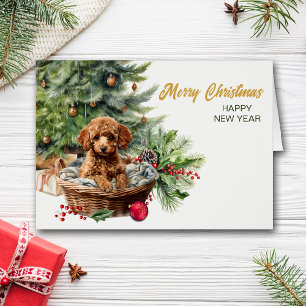 Abrikozenpoedel puppy hond rieten mand kerst