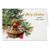 Abrikozenpoedel puppy hond rieten mand kerst (Voorkant Horizontaal)