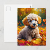 Abrikozenpuppy in herfstbladeren briefkaart (Voorkant / Achterkant)