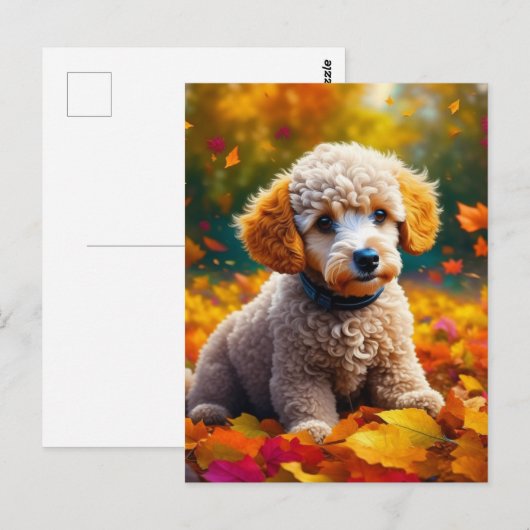 Abrikozenpuppy in herfstbladeren briefkaart (Voorkant / Achterkant)