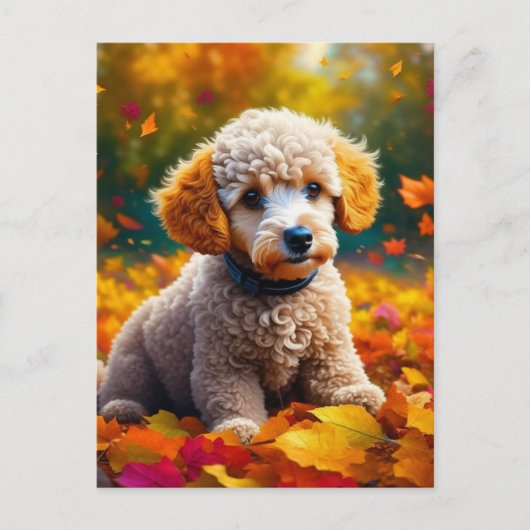 Abrikozenpuppy in herfstbladeren briefkaart (Voorkant)