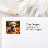 Abrikozenpuppy in herfstbladeren etiket (Insitu)