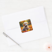 Abrikozenpuppy in herfstbladeren vierkante sticker (Envelop)