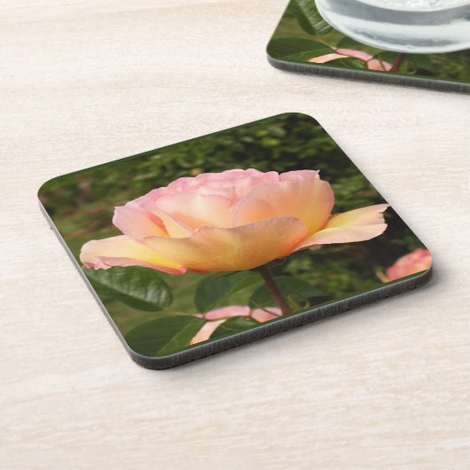 AbrikozenRoos Bier Onderzetter (Linkerzijde)