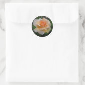 AbrikozenRoos Ronde Sticker (Tas)