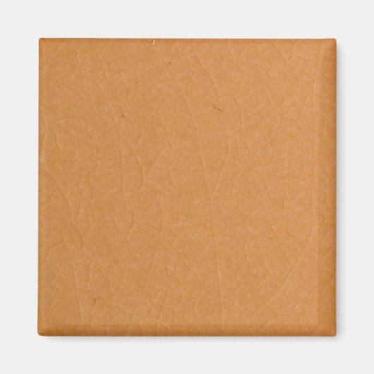 Abrikozensteenscheuren Magneet (Voorkant)