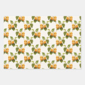  Abrikozenthematroon voor fruit Inpakpapier Vel (Voorkant)