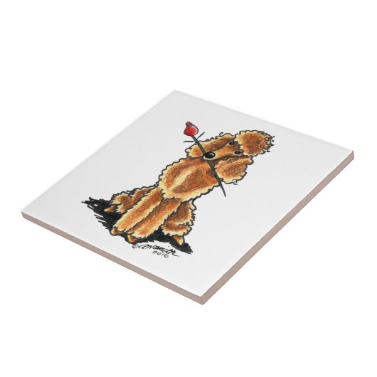 Abrikozenwieg, Valentijns Tegeltje (Zijkant)