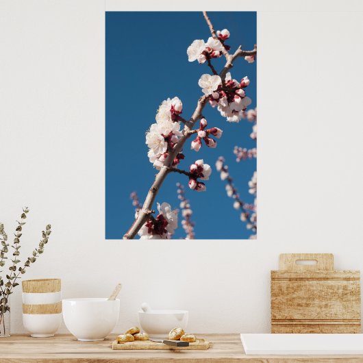 Abriot bloesems poster (Keuken)