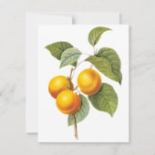 Abriot door Pierre Redoute Uitnodiging (Voorkant)