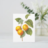 Abriot door Pierre Redoute Uitnodiging (Staand voorkant)