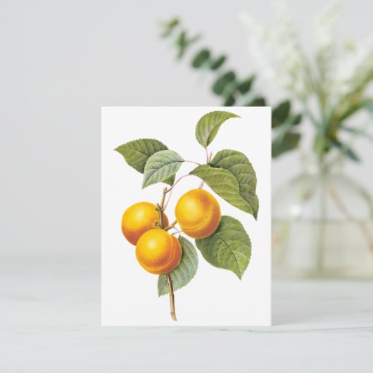 Abriot door Pierre Redoute Uitnodiging (Staand voorkant)