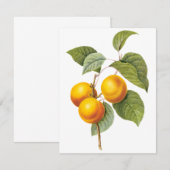 Abriot door Pierre Redoute Uitnodiging (Voorkant / Achterkant)