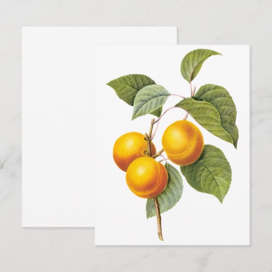 Abriot door Pierre Redoute Uitnodiging (Voorkant / Achterkant)