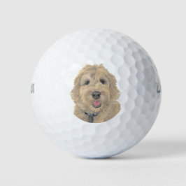 Abriot Golden Doodle Golfballen