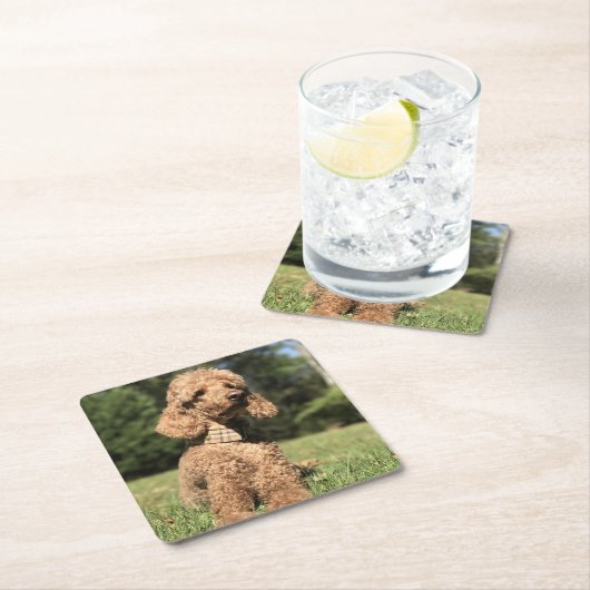 Abriot  kartonnen onderzetters (Insitu)