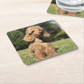 Abriot  kartonnen onderzetters (Schuin)