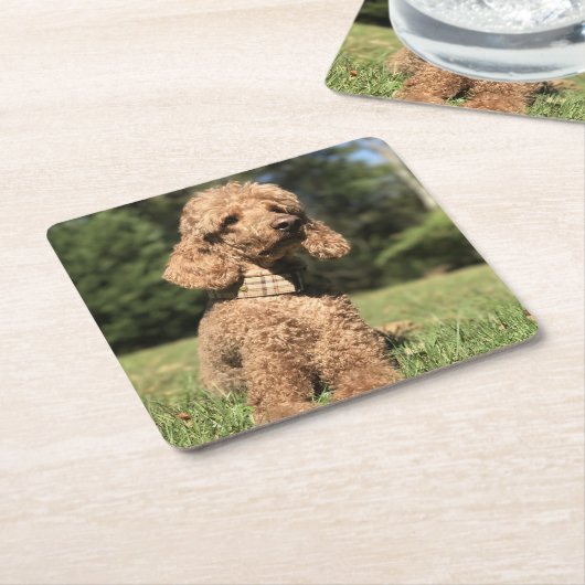 Abriot  kartonnen onderzetters (Schuin)