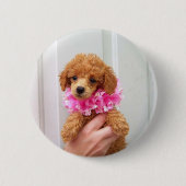 Abriot Poodle Dog Pinback Button (Voorkant)