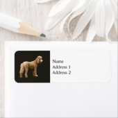 Abriot Poodle Etiket (Insitu)