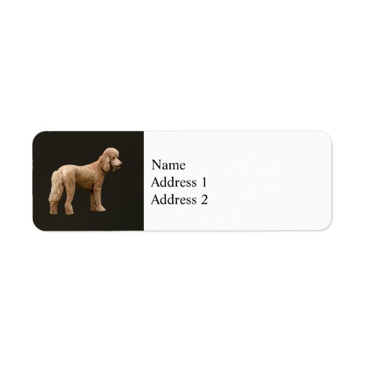 Abriot Poodle Etiket (Voorkant)