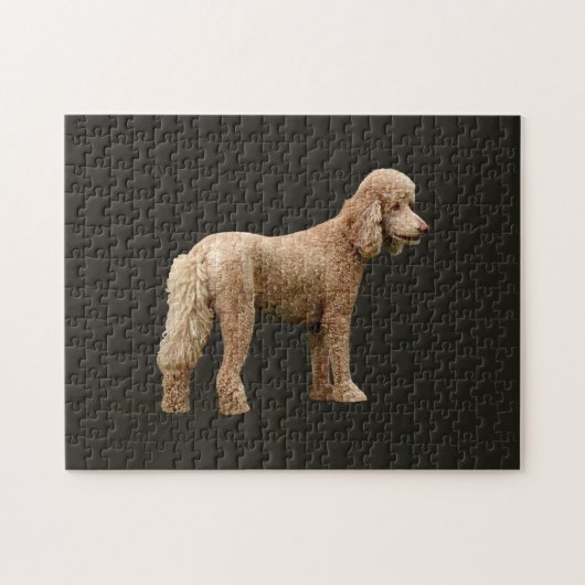 Abriot Poodle Legpuzzel (Horizontaal)